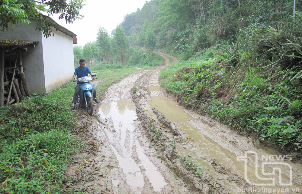 dt 265 thai nguyen bac giang Sớm triển khai đường kết nối QL 17 vs QL 37: Người dân Thái Nguyên đi Bắc Giang, Bắc Ninh thuận tiện hơn