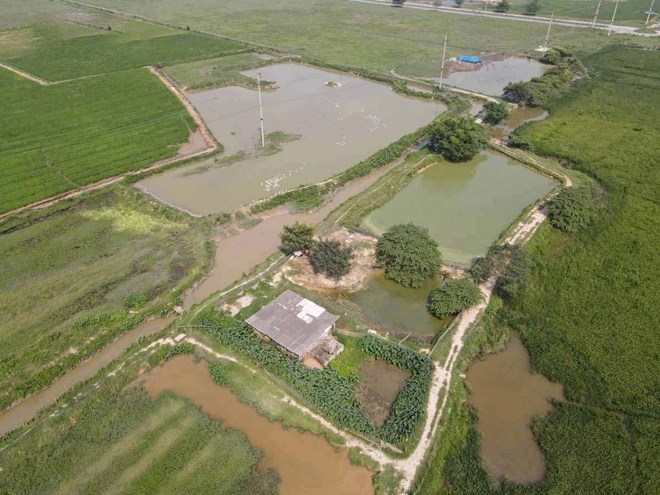 Bên trong dự án KCN An Việt - Quế Võ 6 (Bắc Ninh), ảnh chụp tháng 5.2024. Ảnh: Vân Trường / Lao Động