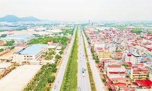 Bắc Ninh hậu sáp nhập: một phường ở Nam Sông Cầu đạt thu nhập bình quân gần 80 triệu đồng/năm, mục tiêu trở thành đô thị vệ tinh loại I